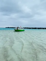 tome cruiseに投稿された画像（2026/3/21）