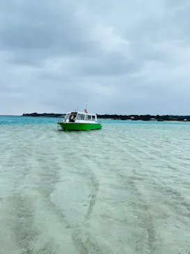 tome cruiseに投稿された画像（2026/3/21）