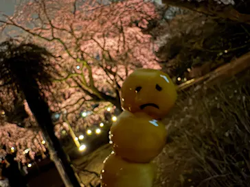 六義園に投稿された画像（2026/3/21）