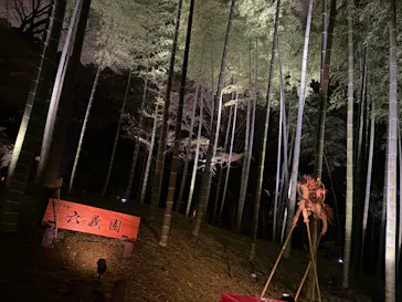 六義園に投稿された画像（2026/3/21）