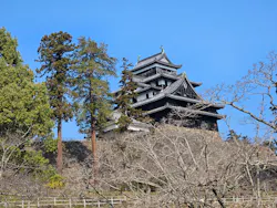 アーバンご縁トラベルに投稿された画像（2026/3/21）