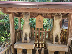 アーバンご縁トラベルに投稿された画像（2026/3/21）