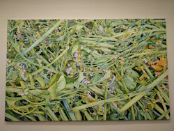 VOCA展2026 現代美術の展望─新しい平面の作家たち(上野の森美術館))に投稿された画像（2026/3/21）