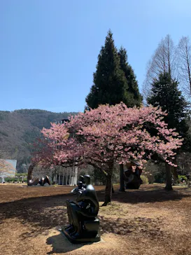 彫刻の森美術館に投稿された画像（2026/3/21）