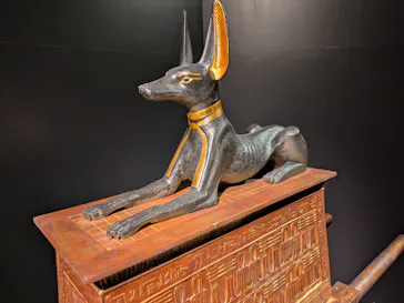 MYSTERY OF TUTANKHAMEN 体感型古代エジプト展に投稿された画像（2026/3/21）