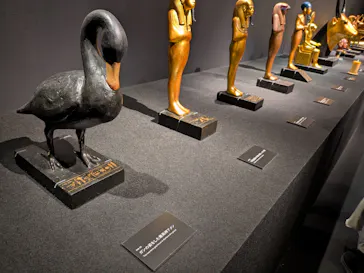 MYSTERY OF TUTANKHAMEN 体感型古代エジプト展に投稿された画像（2026/3/21）