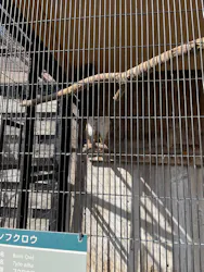 井の頭自然文化園に投稿された画像（2026/3/21）