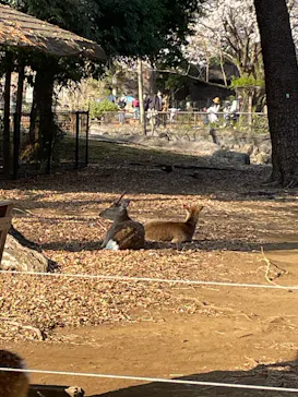 井の頭自然文化園に投稿された画像（2026/3/21）