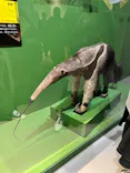 特別展「超危険生物展　科学で挑む生き物の本気」に投稿された画像（2026/3/21）