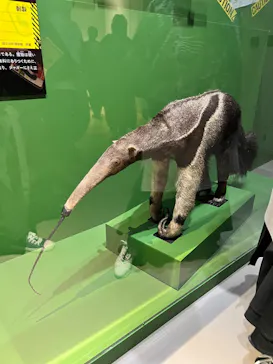 特別展「超危険生物展　科学で挑む生き物の本気」に投稿された画像（2026/3/21）