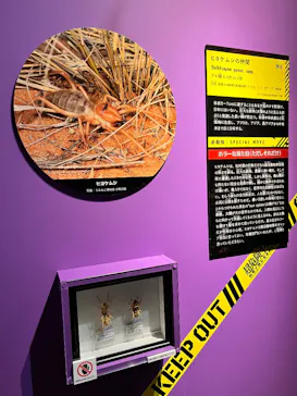 特別展「超危険生物展　科学で挑む生き物の本気」に投稿された画像（2026/3/21）