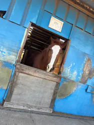 シービューランチに投稿された画像（2026/3/21）