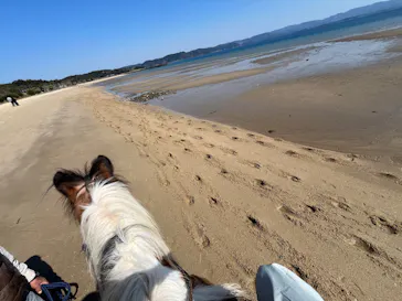 シービューランチに投稿された画像（2026/3/21）