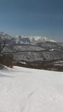 ワンダーランドOZEかたしなに投稿された画像（2026/3/21）