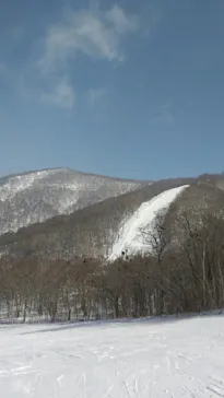 ワンダーランドOZEかたしなに投稿された画像（2026/3/21）