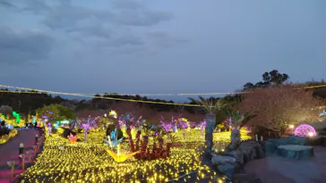 伊豆高原グランイルミに投稿された画像（2026/3/21）