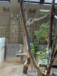 名古屋市東山動植物園に投稿された画像（2026/3/21）