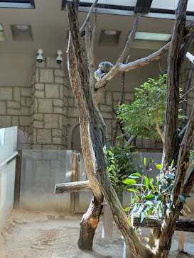 名古屋市東山動植物園に投稿された画像（2026/3/21）