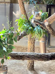 名古屋市東山動植物園に投稿された画像（2026/3/21）