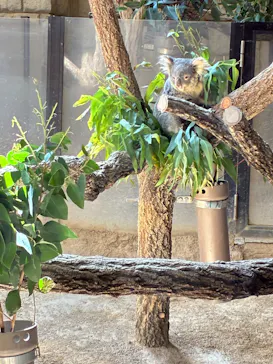 名古屋市東山動植物園に投稿された画像（2026/3/21）