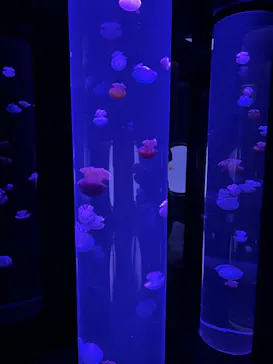 サンシャイン水族館に投稿された画像（2026/3/21）