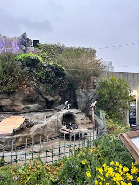 サンシャイン水族館に投稿された画像（2026/3/21）