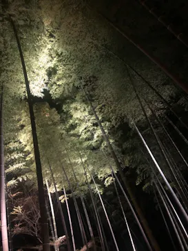 六義園に投稿された画像（2026/3/21）