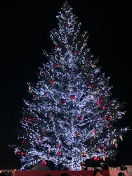 Christmas Market in 横浜赤レンガ倉庫 2025に投稿された画像（2026/3/21）