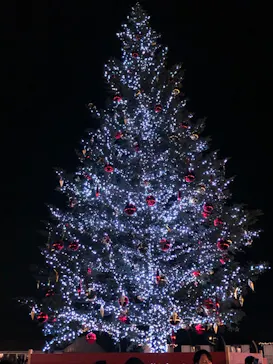 Christmas Market in 横浜赤レンガ倉庫 2025に投稿された画像（2026/3/21）