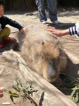 長崎バイオパークに投稿された画像（2026/3/21）