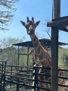 長崎バイオパークに投稿された画像（2026/3/21）