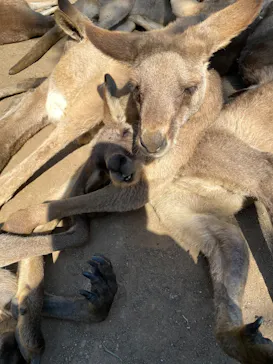 長崎バイオパークに投稿された画像（2026/3/21）