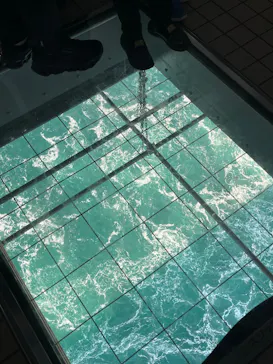 徳島県立 渦の道に投稿された画像（2026/3/21）