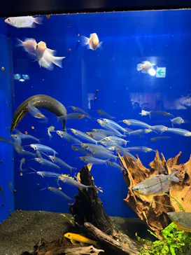 サンシャイン水族館に投稿された画像（2026/3/21）