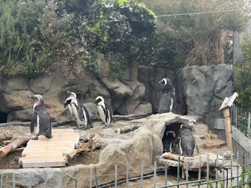 サンシャイン水族館に投稿された画像（2026/3/21）