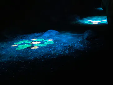 六義園に投稿された画像（2026/3/21）