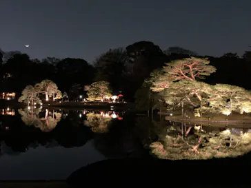 六義園に投稿された画像（2026/3/21）