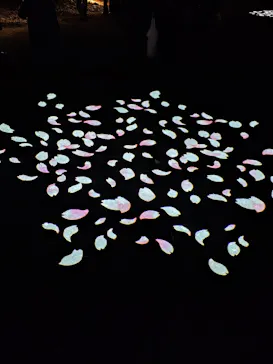 六義園に投稿された画像（2026/3/21）