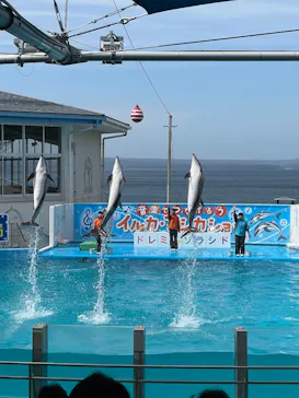 のとじま水族館に投稿された画像（2026/3/21）