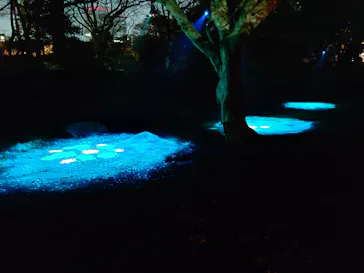 六義園に投稿された画像（2026/3/21）