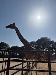 東武動物公園に投稿された画像（2026/3/21）