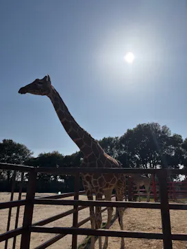 東武動物公園に投稿された画像（2026/3/21）