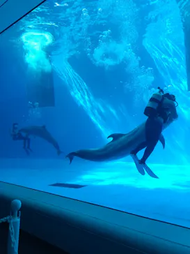 上越市立水族博物館 うみがたりに投稿された画像（2026/3/21）