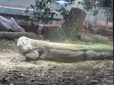 名古屋市東山動植物園に投稿された画像（2026/3/21）