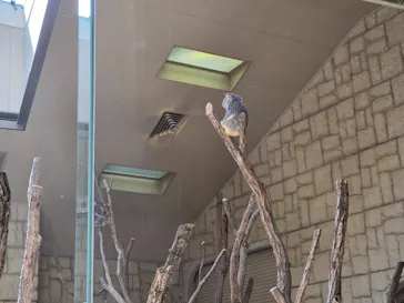 名古屋市東山動植物園に投稿された画像（2026/3/21）