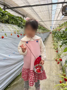 高津園に投稿された画像（2026/3/21）