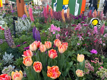 ハウステンボスに投稿された画像（2026/3/21）