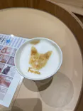 Cat Café MOFF コクーンシティさいたま新都心店に投稿された画像（2026/3/21）
