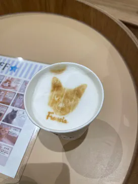 Cat Café MOFF コクーンシティさいたま新都心店に投稿された画像（2026/3/21）
