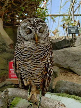 伊豆シャボテン動物公園に投稿された画像（2026/3/21）